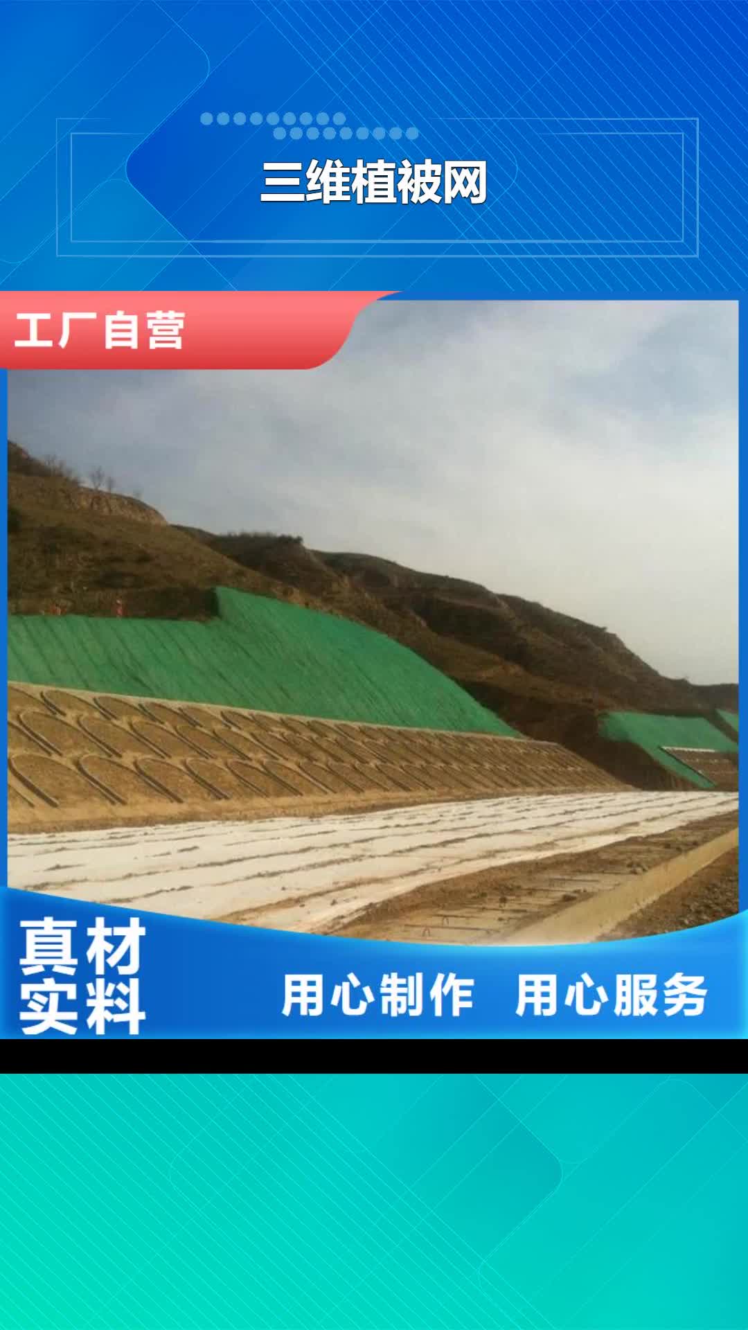 大庆 三维植被网-【长丝土工布】可接急单