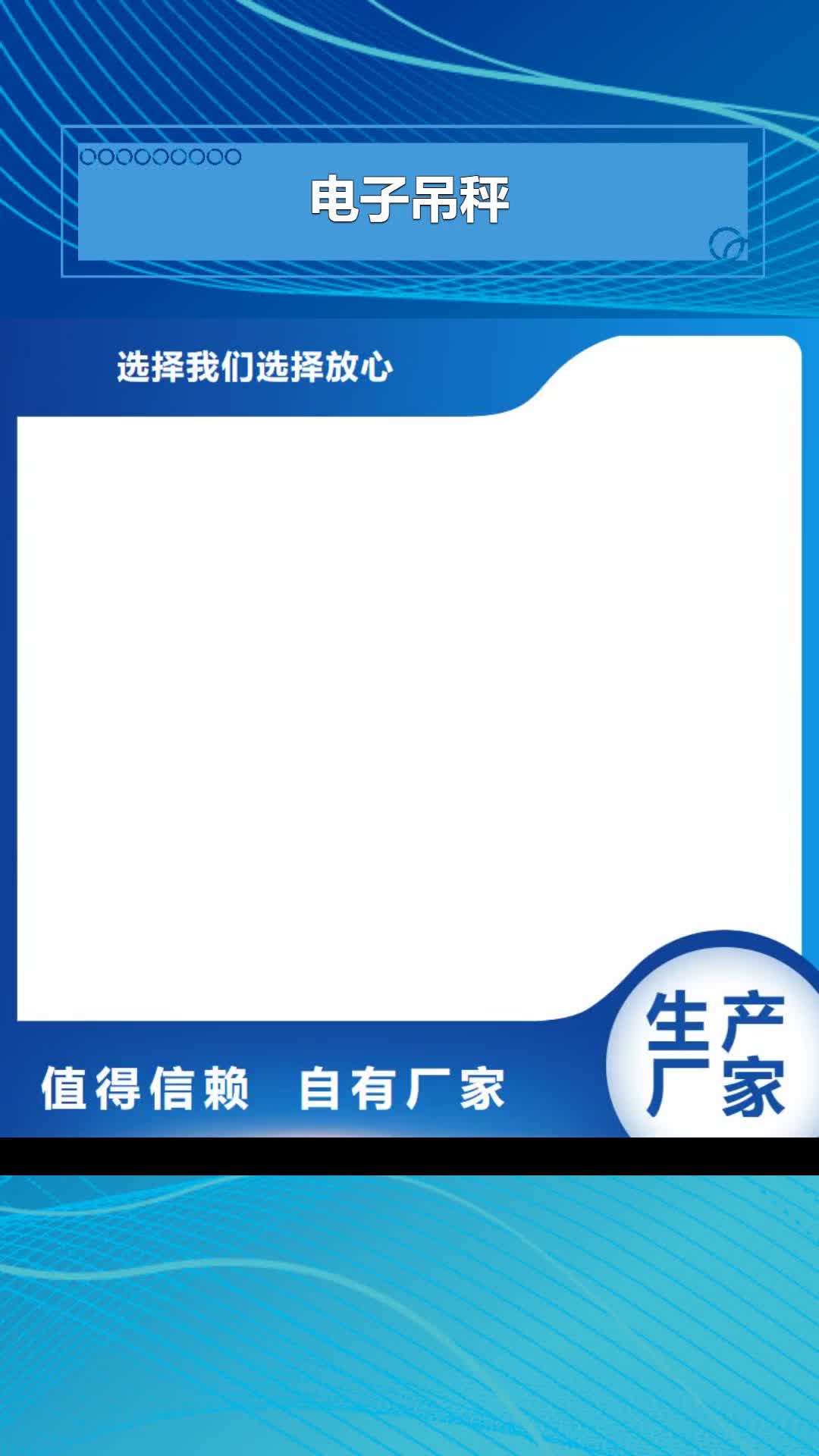 徐州【电子吊秤】-电子吊磅无中间商厂家直销