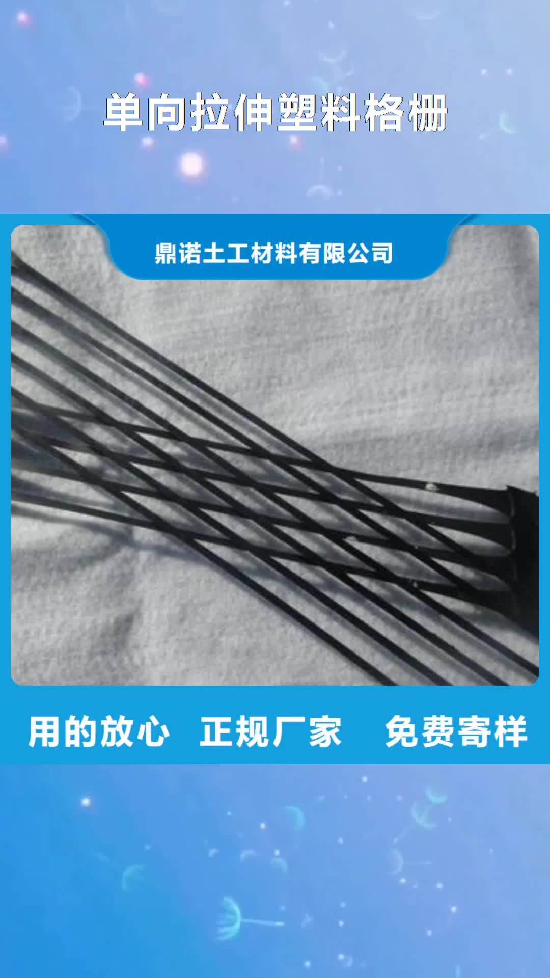 盘锦 单向拉伸塑料格栅,【毛细排水板】实力厂家