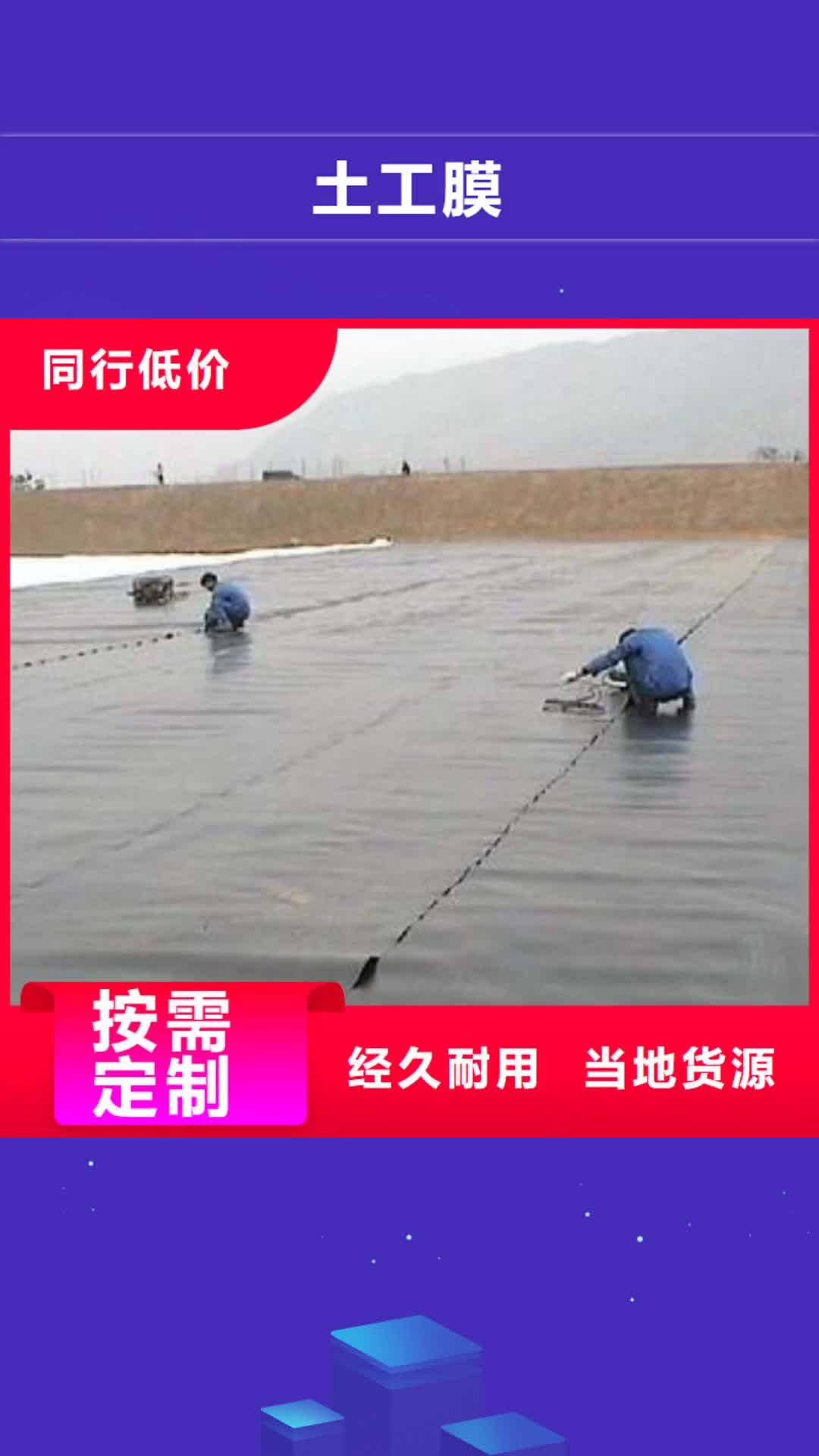 【兰州 土工膜_护坡土工网主推产品】