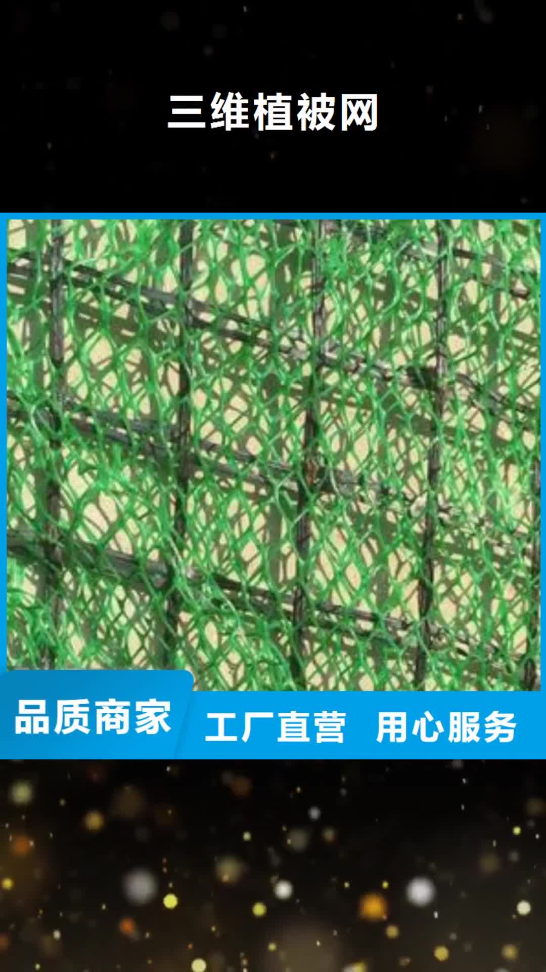 茂名【三维植被网】,三维复合排水网厂家新品