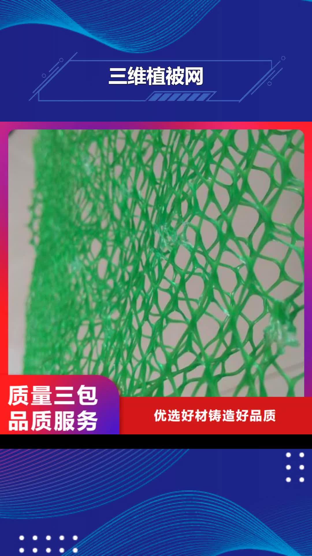 榆林【三维植被网】-水土保护毯厂家新品