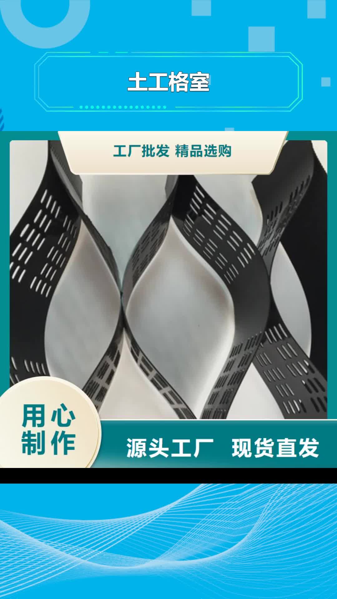 大理【土工格室】-单向拉伸塑料格栅实拍展现