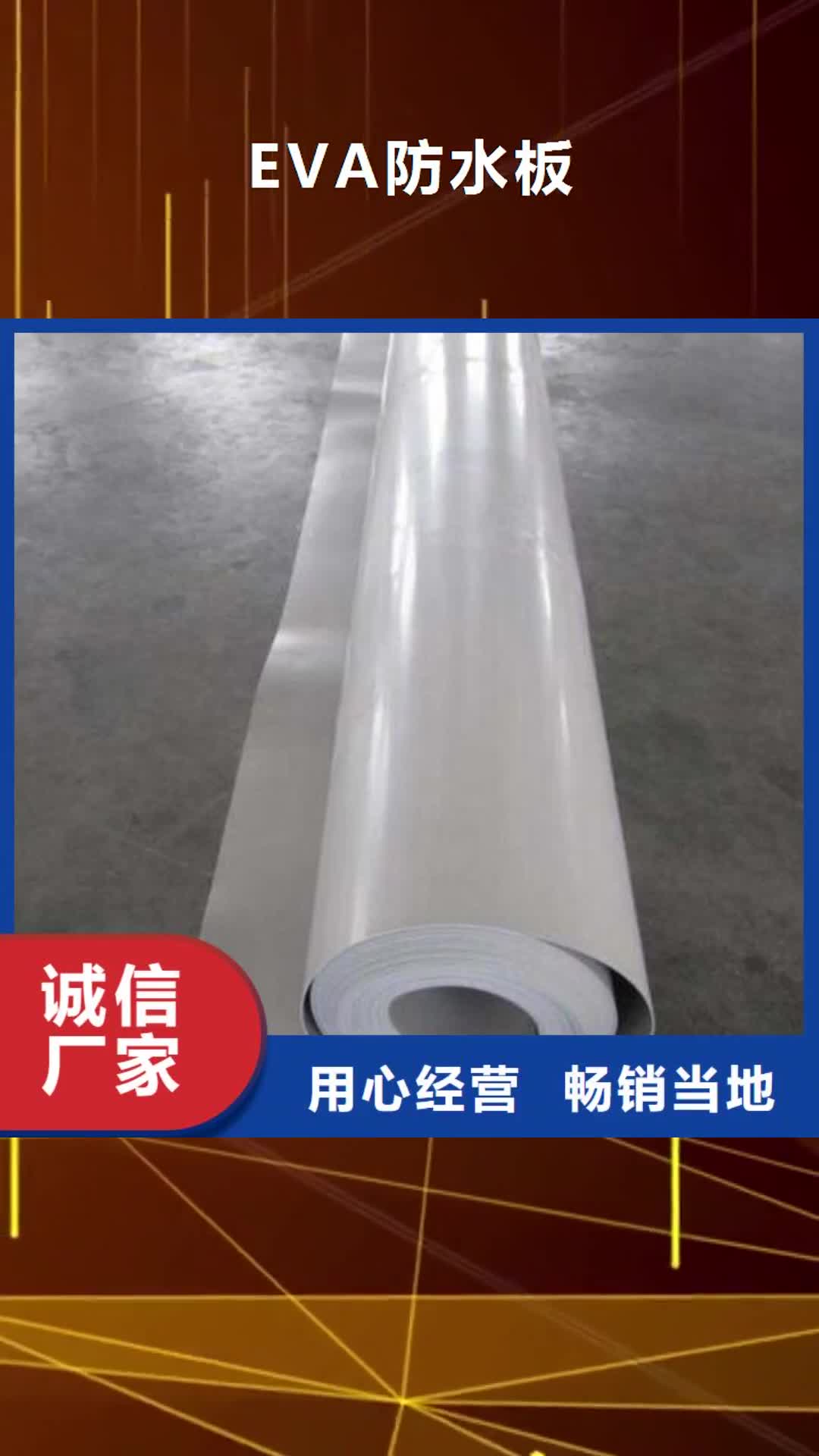 中山【EVA防水板】钢塑土工格栅厂家多种款式可随心选择