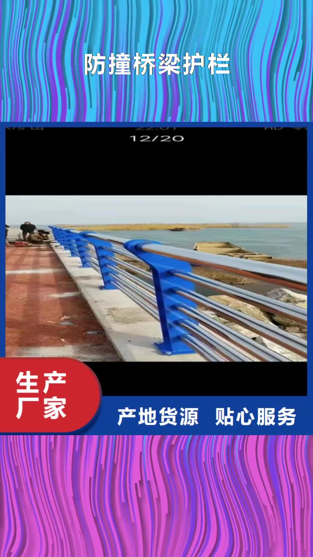 【滁州 防撞桥梁护栏_道路隔离护栏生产型】
