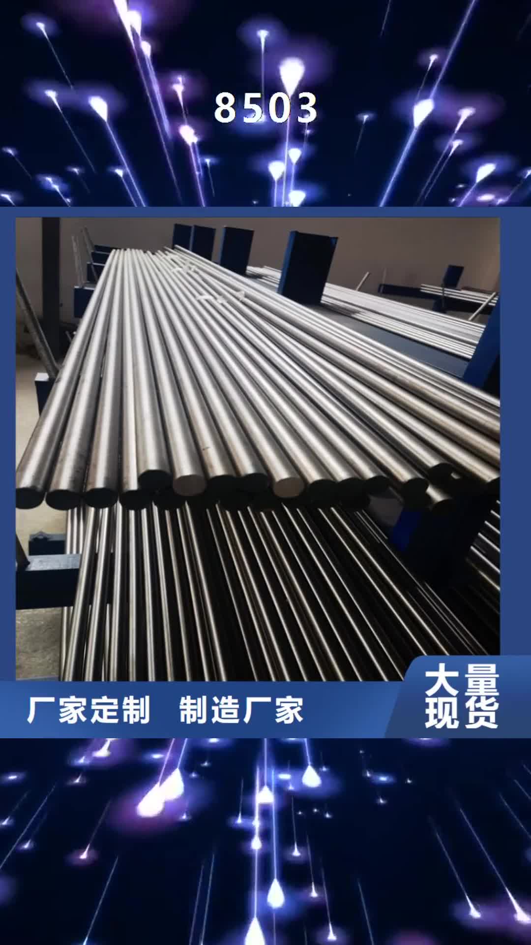 【丽江 8503_模具钢生产厂家支持批发零售】