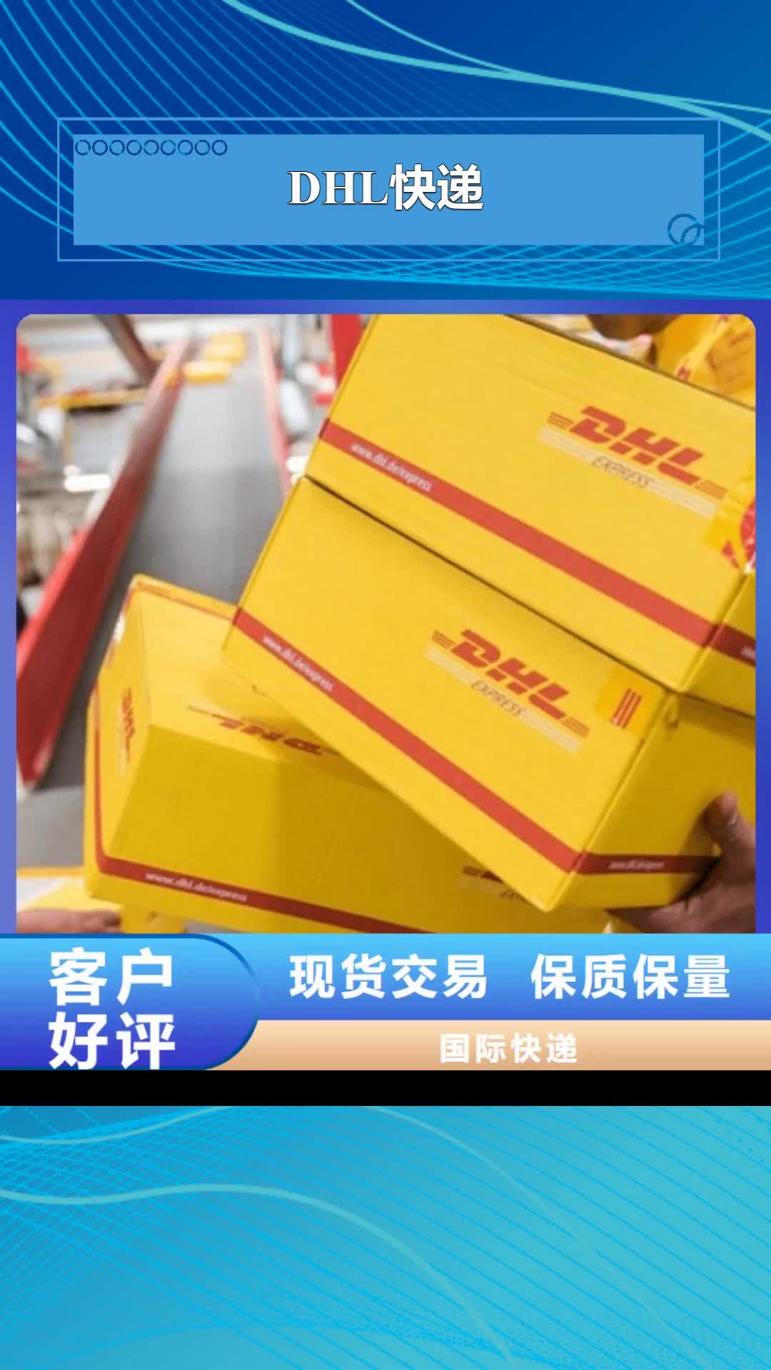 山东【DHL快递】,国际物流公司在线查货