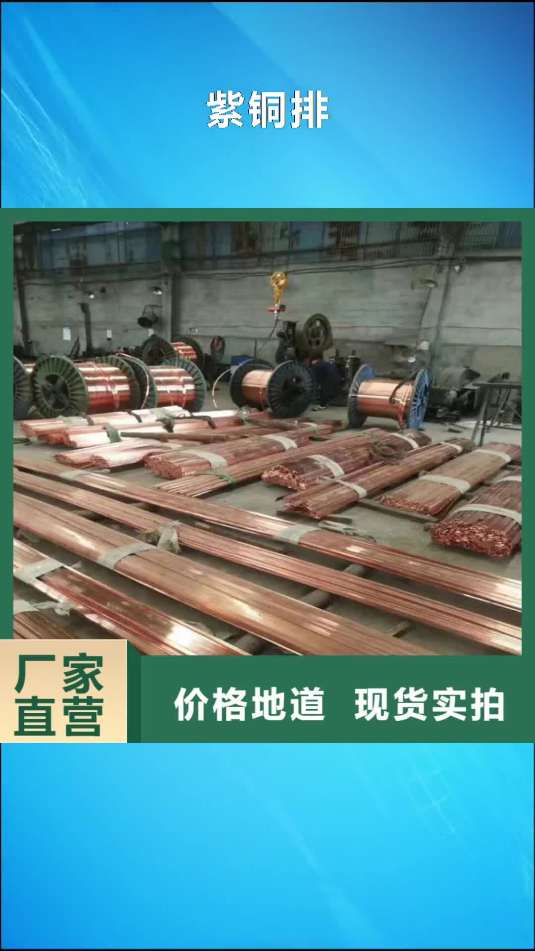 济宁【紫铜排】 铜绞线专业生产制造厂